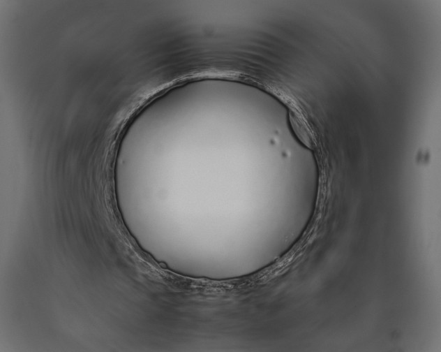 X0000090450337200708031222