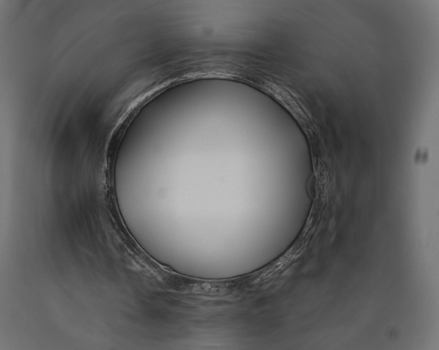 X0000090450338200708031222