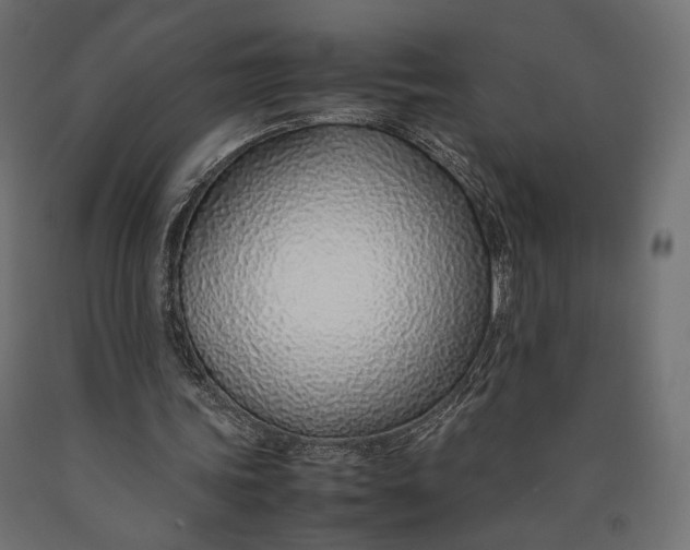 X0000090450339200708031222