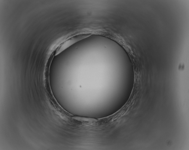 X0000090450340200708031222