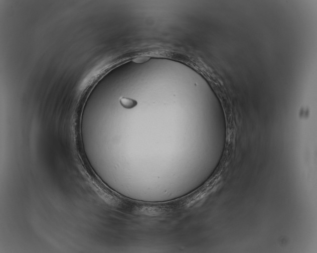 X0000090450341200708031222