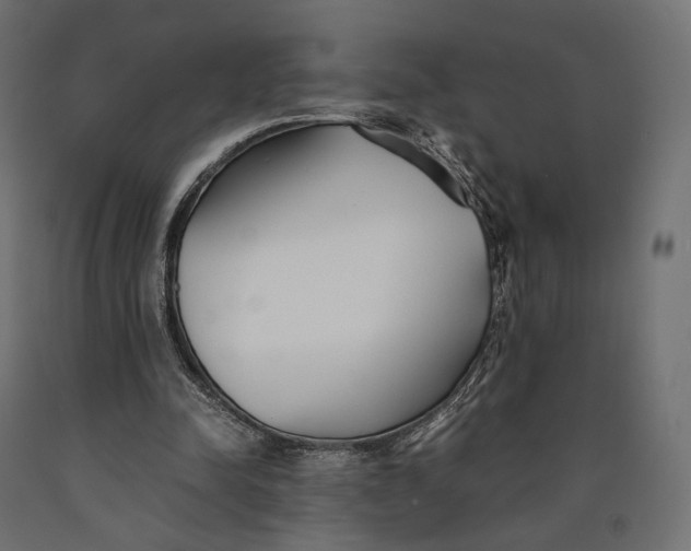 X0000090450342200708031222