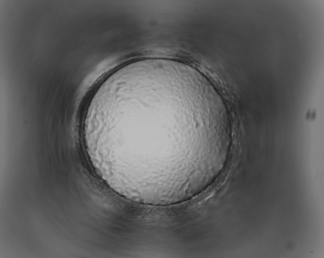 X0000090450343200708031222