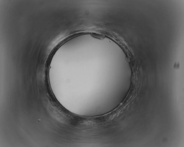 X0000090450344200708031223