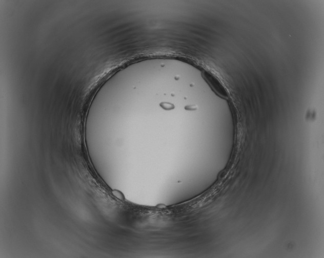 X0000090450345200708031223