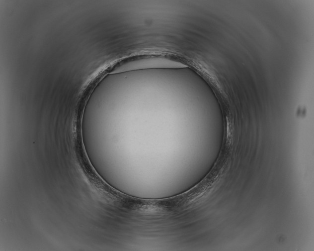 X0000090450348200708031223