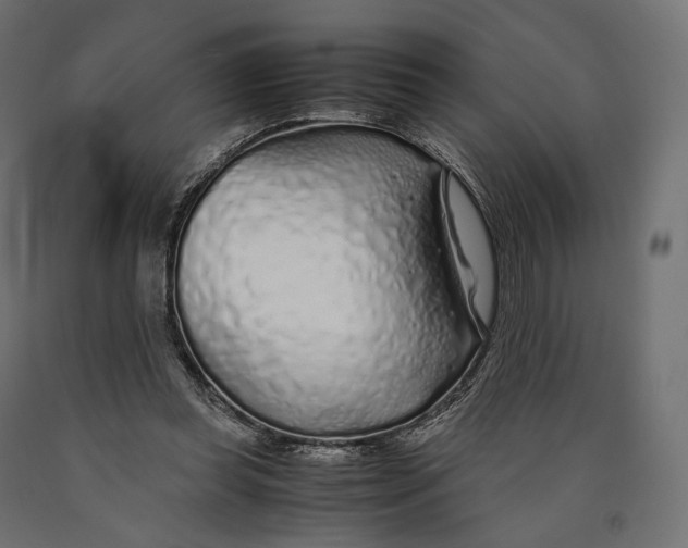 X0000090450349200708031223