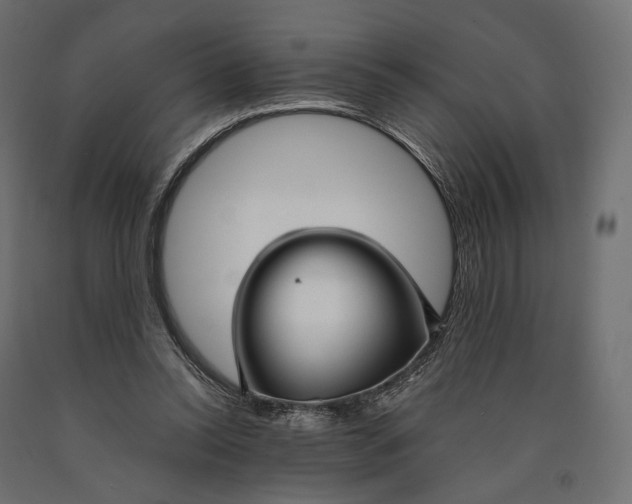 X0000090450350200708031223