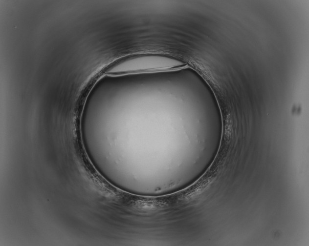 X0000090450351200708031223