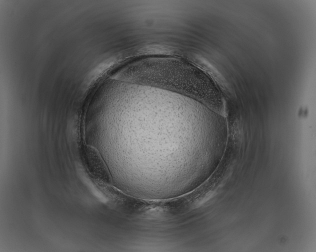 X0000090450352200708031223