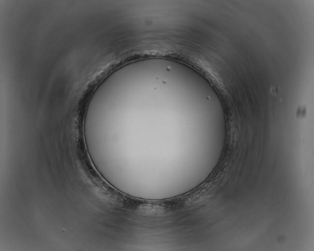 X0000090450354200708031223