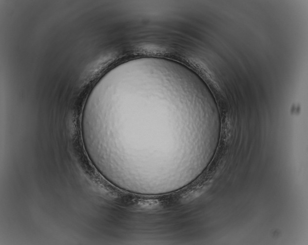 X0000090450355200708031223