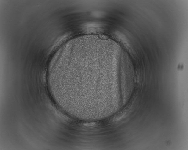 X0000090450357200708031223