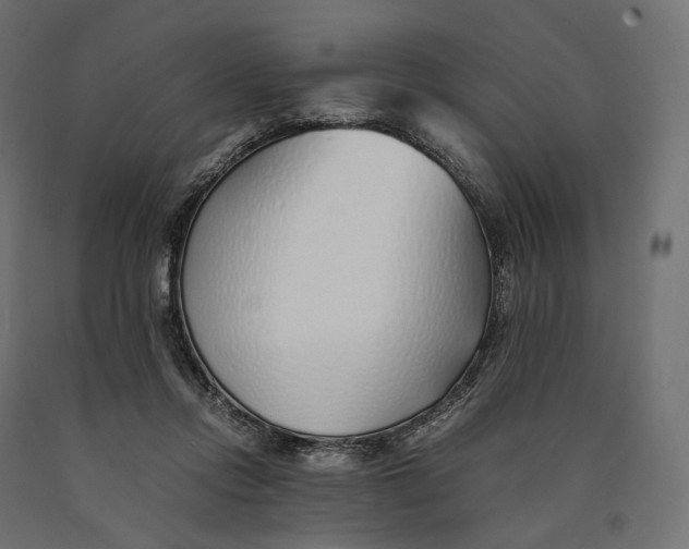 X0000090450358200708031223