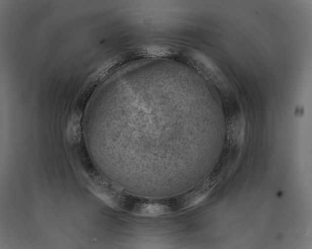 X0000090450360200708031223