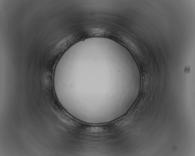 X0000090450361200708031223