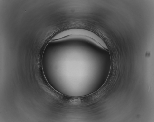 X0000090450362200708031223