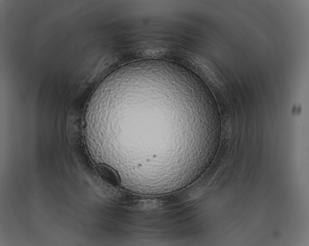 X0000090450363200708031223