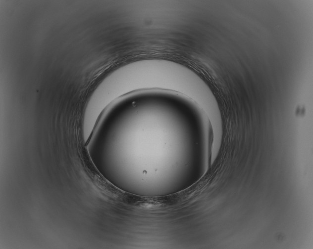 X0000090450364200708031223