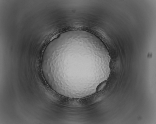 X0000090450365200708031223