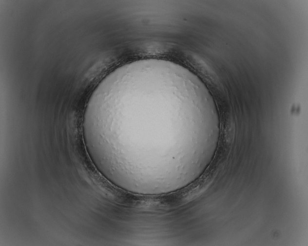 X0000090450366200708031223