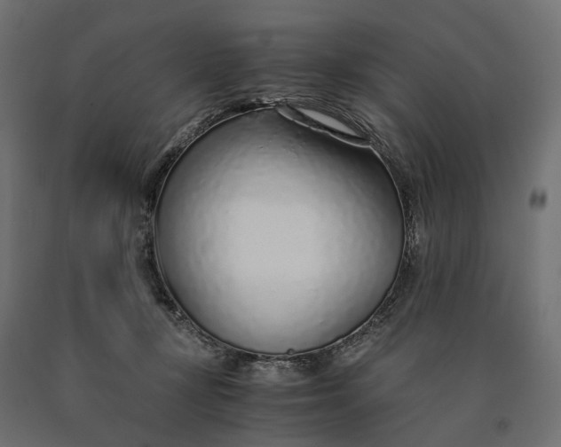 X0000090450367200708031223