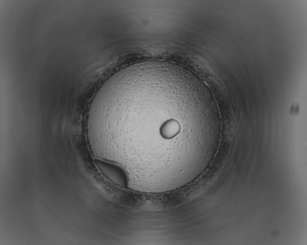 X0000090450368200708031223