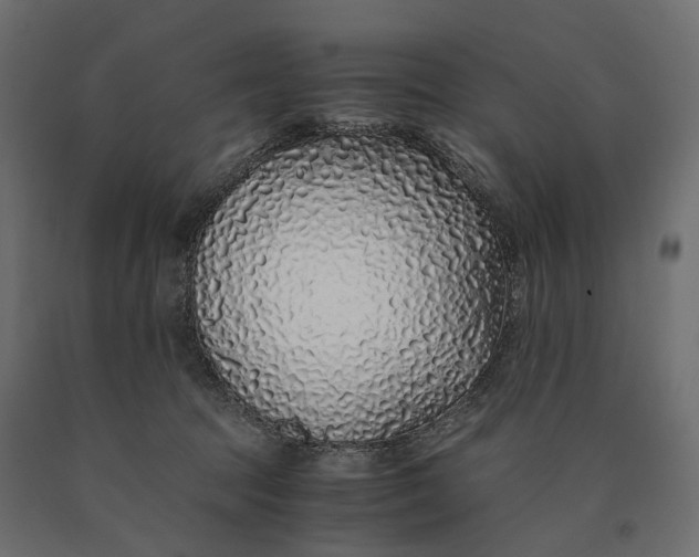 X0000090450369200708031223