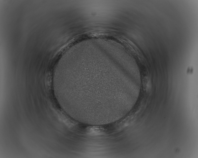 X0000090450372200708031223