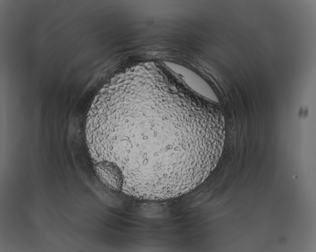 X0000090450373200708031223