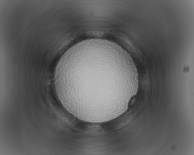 X0000090450374200708031223