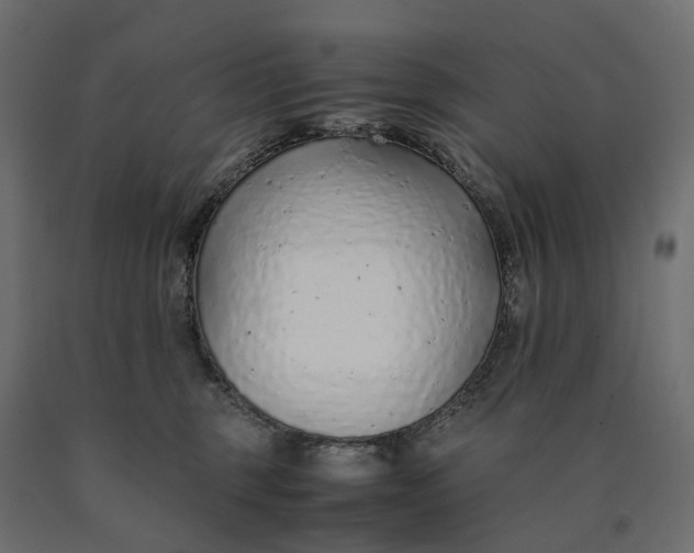 X0000090450375200708031223