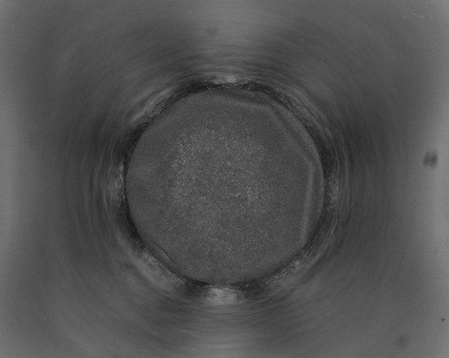 X0000090450376200708031223