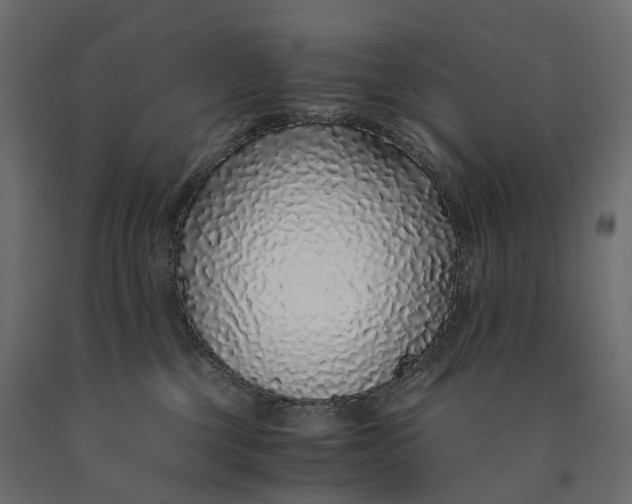 X0000090450377200708031223