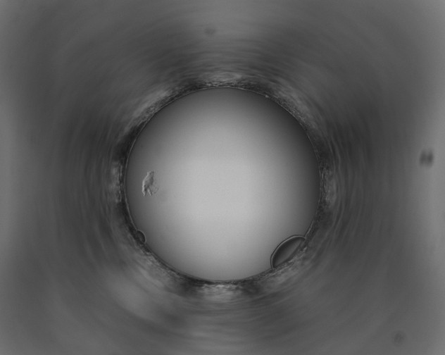 X0000090450378200708031223