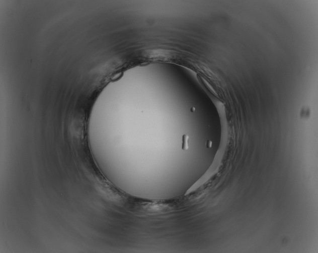 X0000090450379200708031223