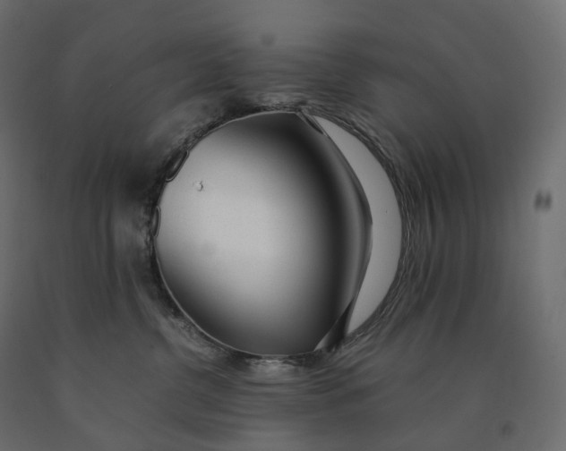 X0000090450380200708031223