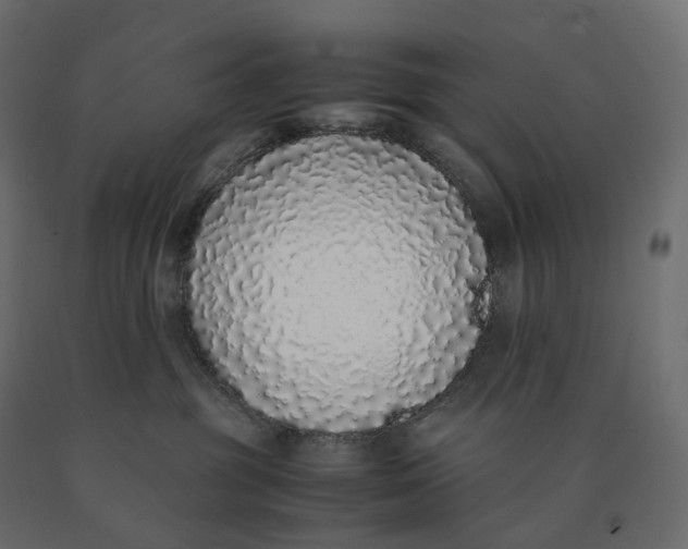 X0000090450381200708031223