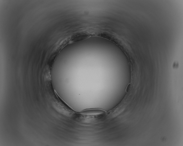 X0000090450384200708031223