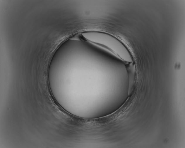 X0000090450385200708031222