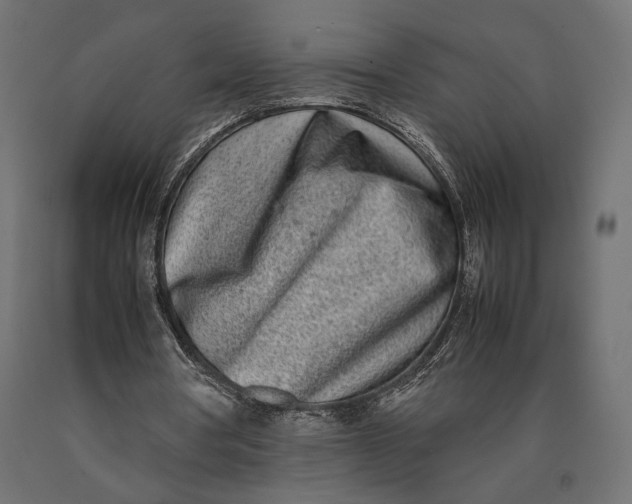 X0000090450386200708031222