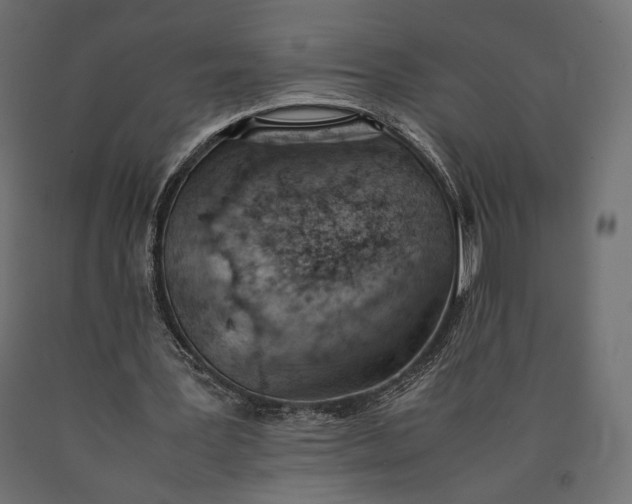 X0000090450387200708031222