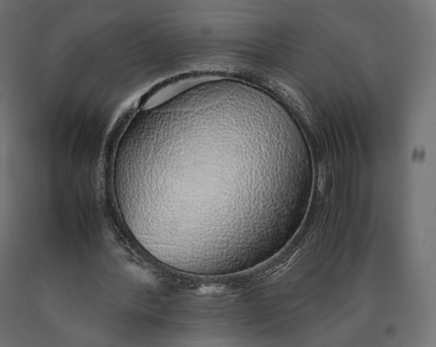 X0000090450388200708031222