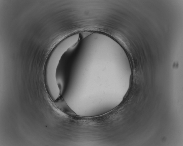 X0000090450389200708031222