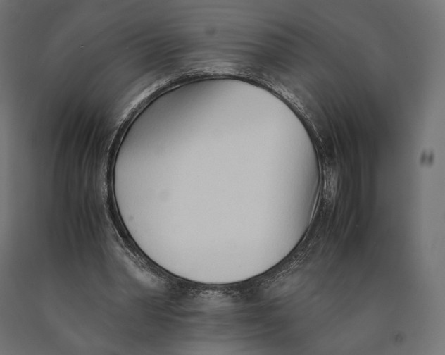 X0000090450390200708031222