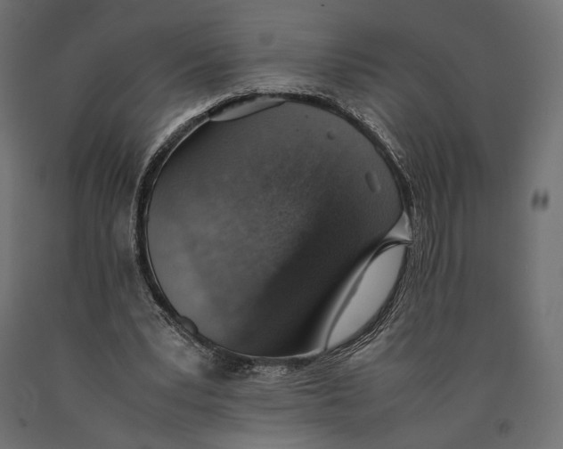 X0000090450391200708031222