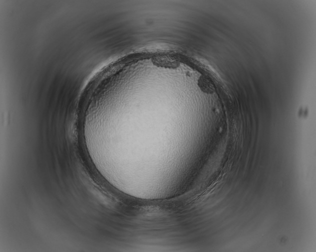 X0000090450392200708031222