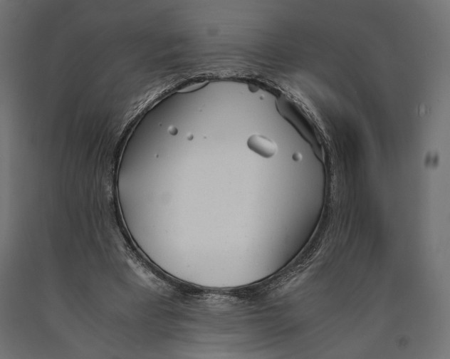 X0000090450393200708031222