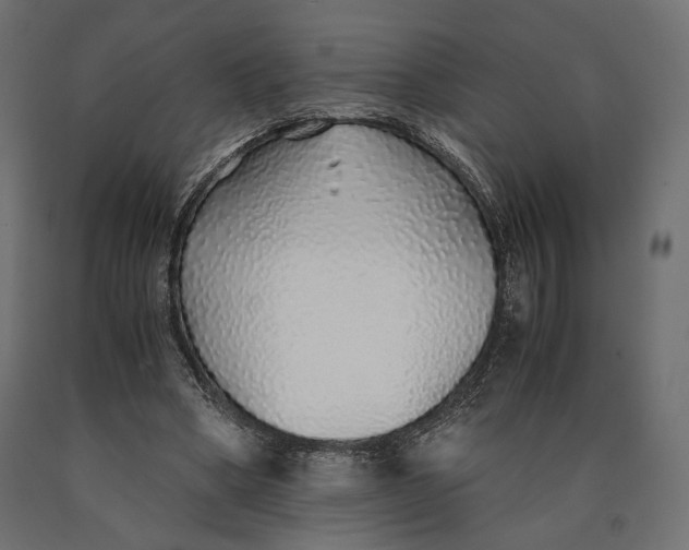 X0000090450394200708031222