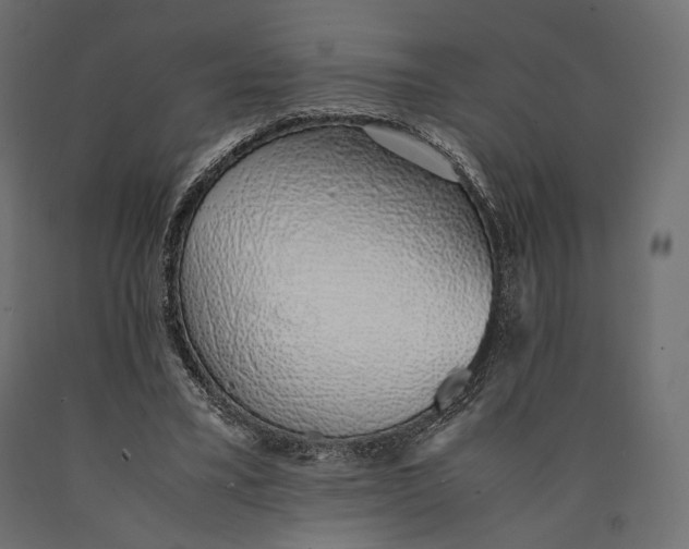 X0000090450395200708031222